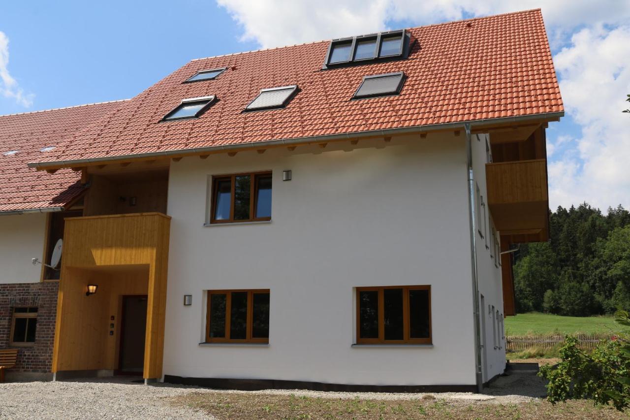 Waldblick Im Happy Allgaeu - Wohnung Mit Grosser Dachterrasse Leutkirch im Allgäu Eksteriør billede
